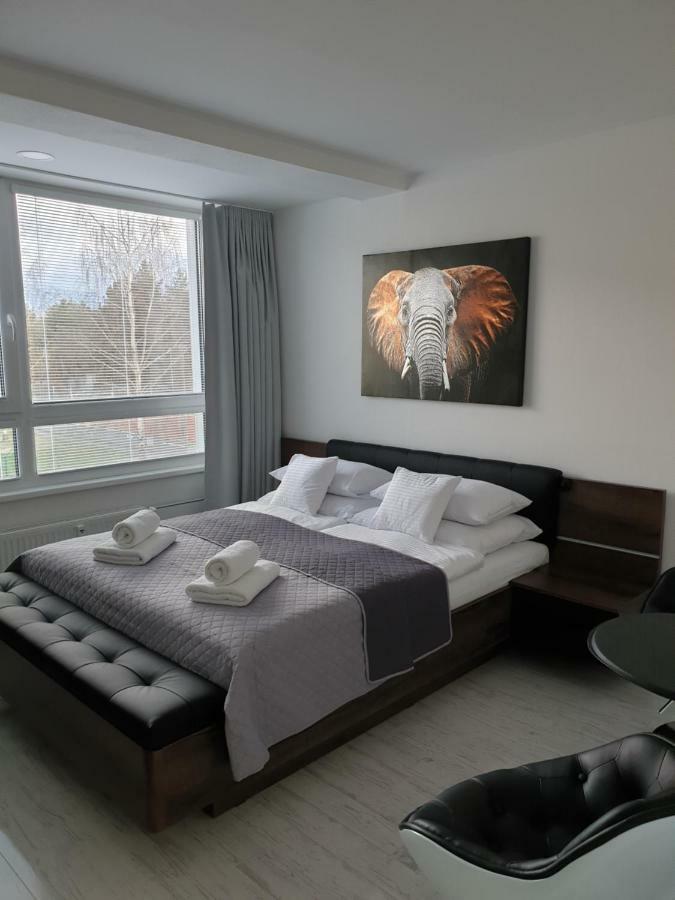 Urban Apartment